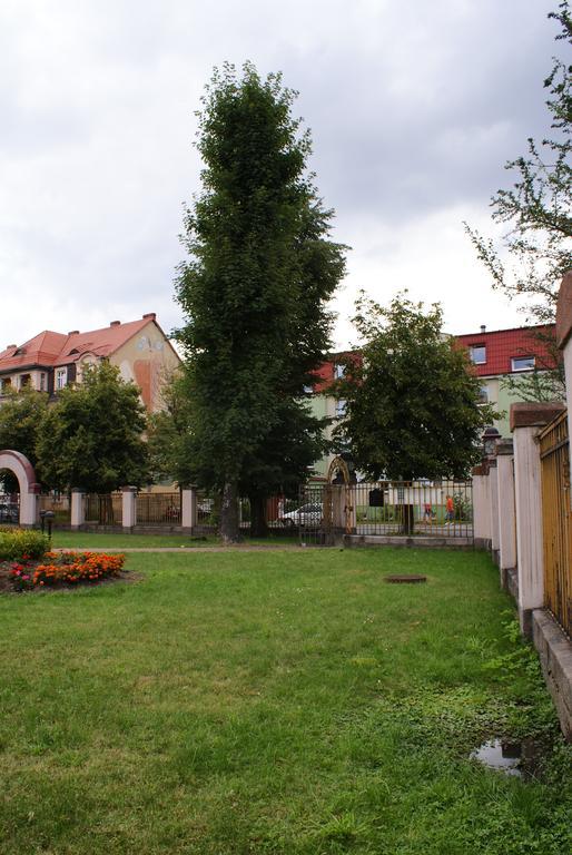 Villa Bergera Dzierżoniów Екстериор снимка